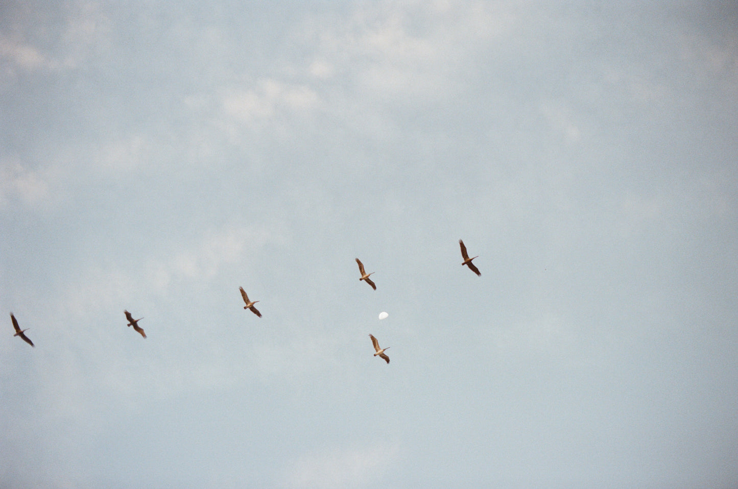 Dreams - 200 ISO Colour Film