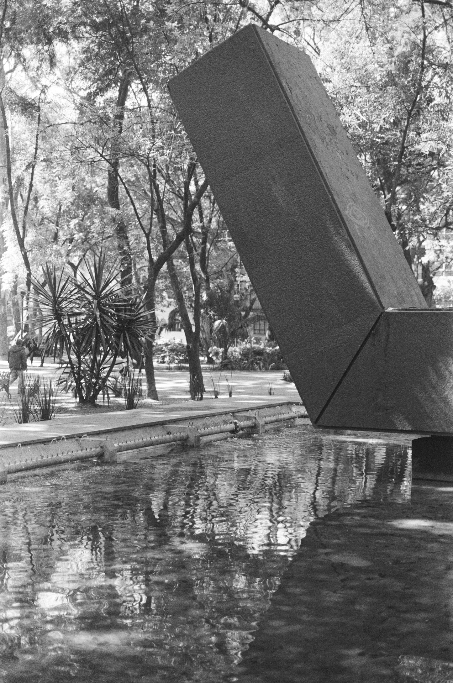 Catrin Black and White Film - 36 Exposures, 100 ISO