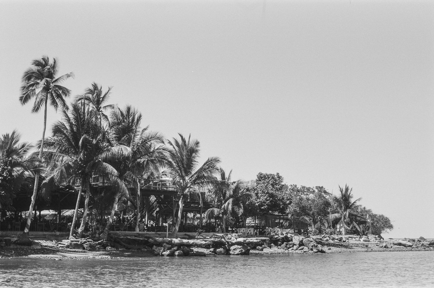 Lüx - 400 ISO Black and White Film - Capture Elegance and Luxury